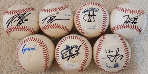 Rays Glasnow, Bradley, Josh Lowe, Brujan, Mead, Patino, Aranda. SIGNED BALL Cover