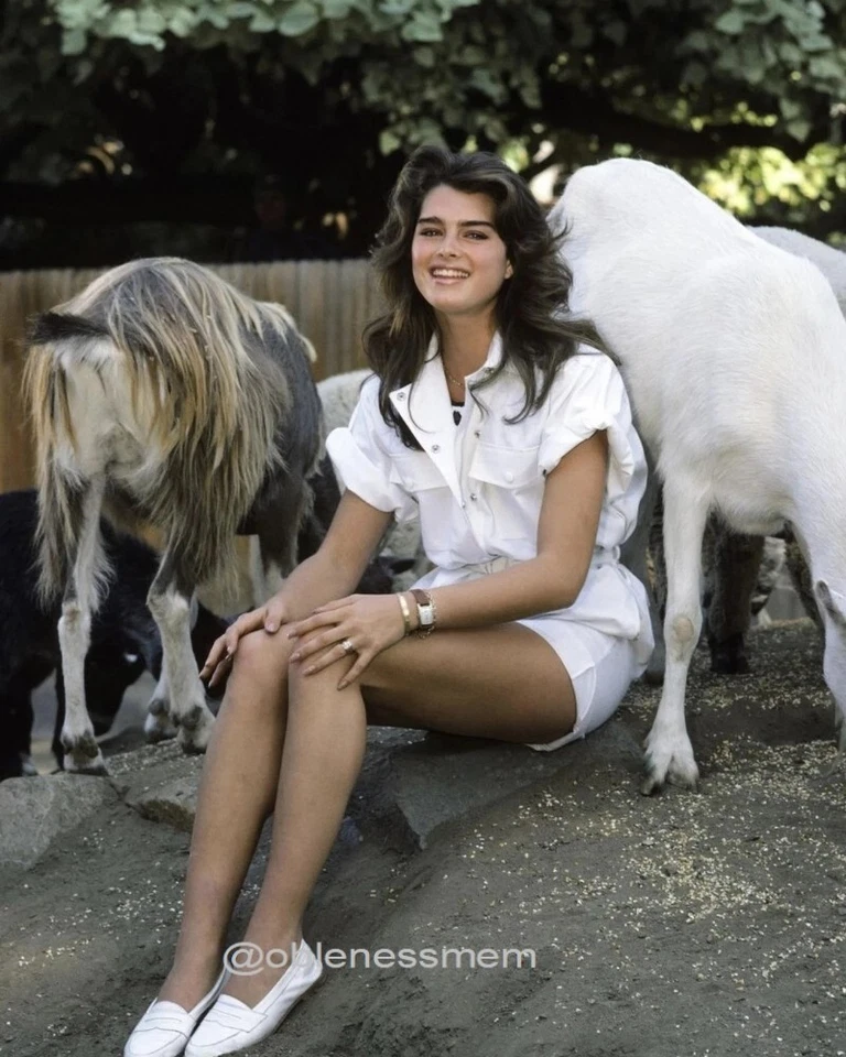 FOTO BRILLANTE 8x10 Brooke Shields impresión fotográfica años 80 80  Foto 1 de 1