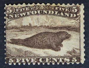 NEWFOUNDLAND SG26 1865 5c marrón, sello, montado como nuevo - Imagen 1 de 2