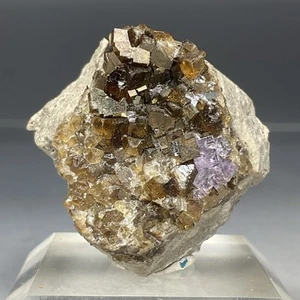 SS Rocks - "Fluorescent" Fluorite (Stoneco Auglaize Quarry, Ohio) 20,6g - Bild 1 von 8