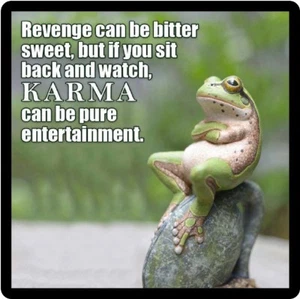 Funny Frog Karma Refrigerator Magnet - Picture 1 of 1