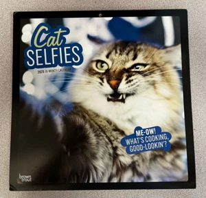 BrownForelle, Katze Selfies 2025 16. Monat Wandkalender 12x12 cm - Bild 1 von 1