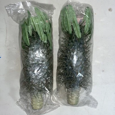 Juego de 2-8 Pulgadas Planta de Cactus Artificial Verde Imperial Seda Follaje con Hojas Foto 1 de 4