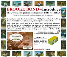 Brooke Bond Advert, 1954 British Birds.  'Photo Shop' cleaned reproduction.
