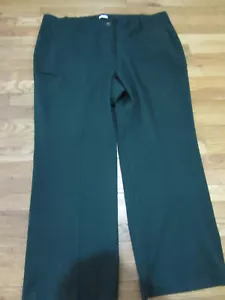 NWT WOMENS J JILL PLUS SIZE 28 3X 4X EVERGREEN DRESS PANTS BELT LOOPS $99 - Picture 1 of 1