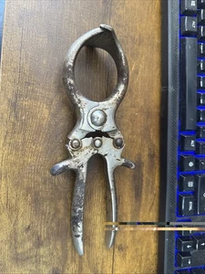 Herramienta de castrado Burdizzo patente #342160 - Imagen 1 de 4