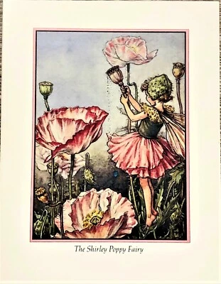 Vtg. Cicely Mary Barker card 1992 "The Shirley Poppy Fairies "4-3/4x 6 " - Image 1 of 4