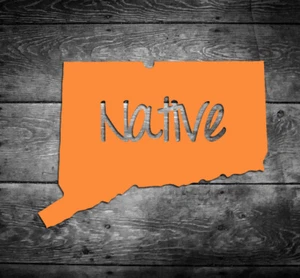 Connecticut Native Vinyl Sticker Car Window Door Bumper Decal Pride Home CT - Picture 1 of 2