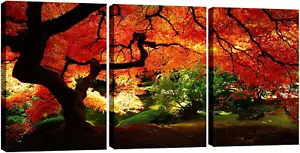 3 Piece Canvas Prints Wall Art Paintings Ready to Hang for Living Room Home Deco - Picture 1 of 6