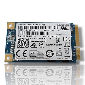 Dell San Disk X300 256GB mSATA SSD SD7SF6S-256G #FF12 - Bild 1 von 1