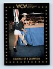 1991 Championship Marketing WCW Courage of a Champion #87