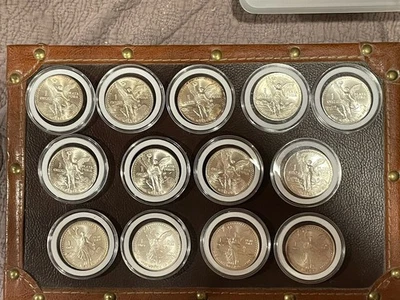 Mixed Lot Of 13-1oz Silver Mexican Libertads In Plastic Holders - Image 1 of 4