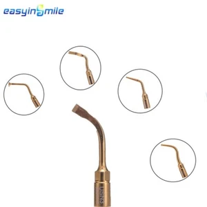  1Pc NEW Easyinsmile Dental Bone Surgery Implant Scaler Tips Fit NSK VARIOSURG  - Picture 1 of 17