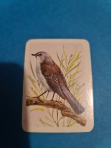 Tarjeta de candidiasis gris #206 de la serie Tuckerfield's Australia Birds 🙂 CORREO GRATUITO - Imagen 1 de 2