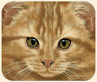 Fiddler?S Elbow  Orange Tabby Cat Face Mouse Pad Art By Adeline Halvarson Nwt