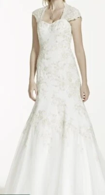 David’s Bridal Gown 连衣裙 WG3640 蕾丝和缎面火车帽小号 10 码全新带标签  — 第 1/4 张图片