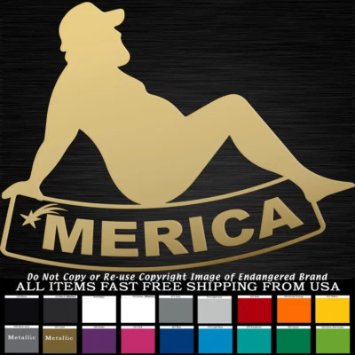 Calcomanía adhesiva izquierda Merica Fat Man para coche, camión, ventana Foto 1 de 4