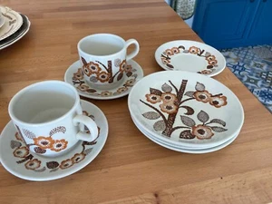 Vintage retrò Biltons modello marrone e bianco 3 piatti pane da tè 2 tazze 3 piattini - Foto 1 di 6
