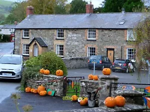 Photo 6x4 Halloween pumpkin competition, Llansilin Villagers left their p c2021 - Picture 1 of 1