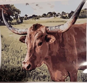 NEW Pink Picasso Paint By Number Kit LUCY LONGHORN  16"x20" Art Craft - Picture 1 of 6