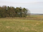 Photo 6x4 Pastures and plantation south of Errington Hill Head Bingfield  c2009