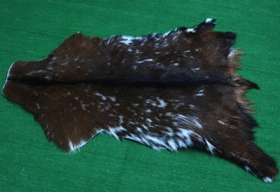 GOAT Western taxidermy Hide Rug Natural Pattern Fur Goat Hide Rode SA-1252 - Image 1 of 3
