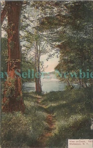 Beacon NY - VISTA SOBRE FISHKILL CREEK AT FALLS - Postal Matteawan - Imagen 1 de 2