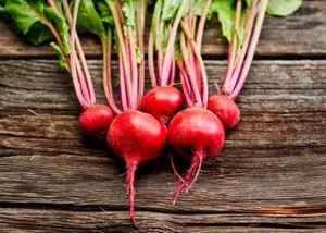 150+ seeds- Chioggia Beet seed for planting,heirloom, non-GMO, fast growing seed - Picture 1 of 3