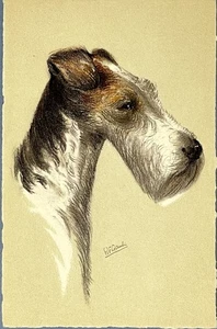 Wire Haired Fox Terrier Vintage Postcard RF Gaulin Switzerland - Picture 1 of 3