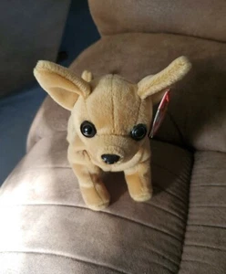 5T Ty Beanie Baby Tiny The Chihuahua Dog 1998 felpa 6" - Imagen 1 de 7