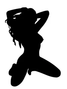 Adesivo Sexy Donna Silhouette Esplicita, Vinile Die Cut - Foto 1 di 1