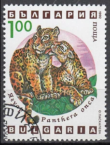 Bulgarien gestempelt Panther Leopard Wildtier Raubkatze Katze Tierkind 1992 /200 - Bild 1 von 1