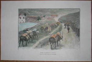 1894 Reclus Druck PANTOLETTEN TRAGEN MINERAL, BRASILIEN (#33) - Bild 1 von 1