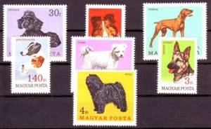 HUNGARY - 1967. Dogs - MNH - Picture 1 of 1