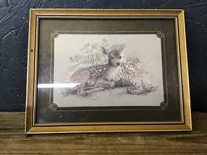 Vintage gerahmter Druck Hirsch Rehkitz von Manuskript Drucke Cornwall - Bild 1 von 5