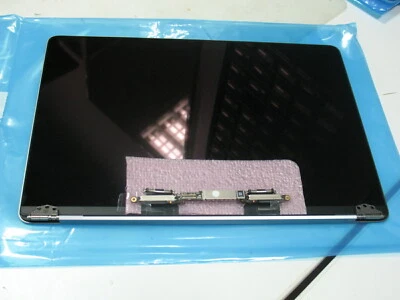 13,3 Display original Bildschirm grau space für A1708 Apple EMC 2978 EMC 3164 - Bild 1 von 2