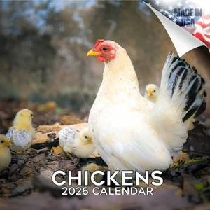 Calendario de Pared POLLOS 2026 Granja Amante de las Aves Divertido Mordaza Regalo - Imagen 1 de 2