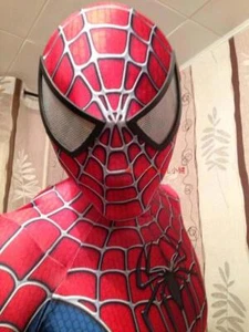 Raimi Spiderman Costume 3D Print Spandex Superhero Cosplay Adult & Kids Suit New - Picture 1 of 12