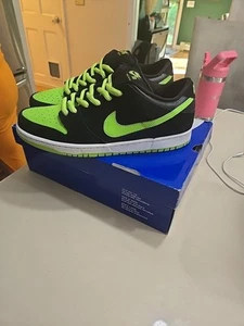 Size 11.5 Nike Dunk Pro SB Low Neon J-Pack đź’šPADS POSSIBLY TRIED ON YOU JUDGEđź’š - Picture 1 of 24