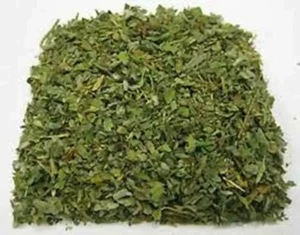 HOJAS GUDMAR, Gymnema Sylvestre, Hierbas Indias, Natural y Fresco 50 gm - Imagen 1 de 3