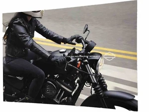 2020 Japanese HARLEY DAVIDSON Motorcycles Sales Brochure - Picture 1 of 7