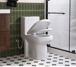 12in Rough-in 1 Piece Toilet 0.8/1.28 GPF Dual Flush w/ UF Elongated Toilet Seat - Picture 1 of 13