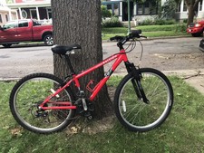 raleigh mens mountain bike