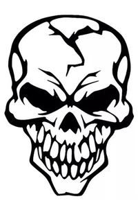 Skull White Vinyl Decal window - Bild 1 von 1