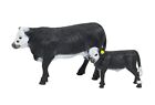 Vache et veau chauve noir