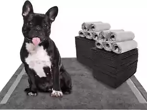 Charcoal Training Pads 100 Count, 22"X22" Puppy Pads for Small Dogs, Activated C - Picture 1 of 7