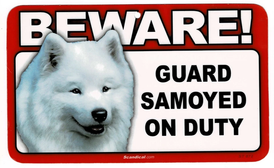 CUIDADO CON EL LETRERO LAMINADO RECTANGULAR PERRO/MASCOTA SAMOYEDO. ENVÍO COMBINADO. Foto 1 de 1