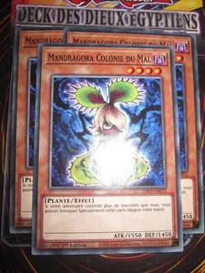 YU-GI-OH! PLAYSET (3 CARTES) MANDRAGORA COLONIE DU MAL EGO1-FR012 EDITION 1 - Picture 1 of 1