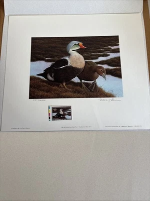 1991 - King Eider Federal Duck Stamp Print And Stamp - NANCY HOWE - Image 1 of 4