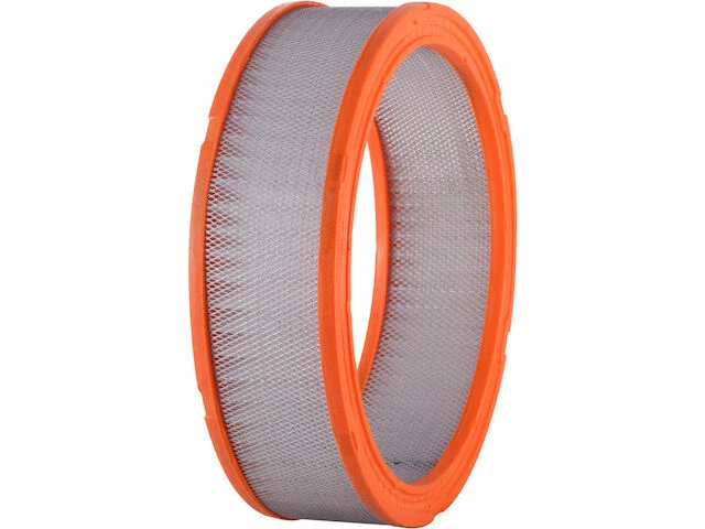 Filtro de aire Premium Guard para Pontiac Grand LeMans 1980-1982 38YRGC Foto 1 de 1